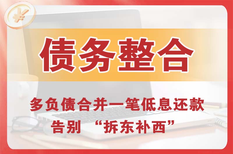 洛隆债务整合